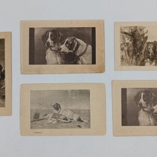 Пять оригинальных открыток "Собаки" 1900-10 е годы. Состояние на фото. Одна паодписанна, один повтор.