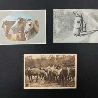 3 открытки с изображениями лошадей. 1900е годы. Состояние на фото. 14х9,5 см
