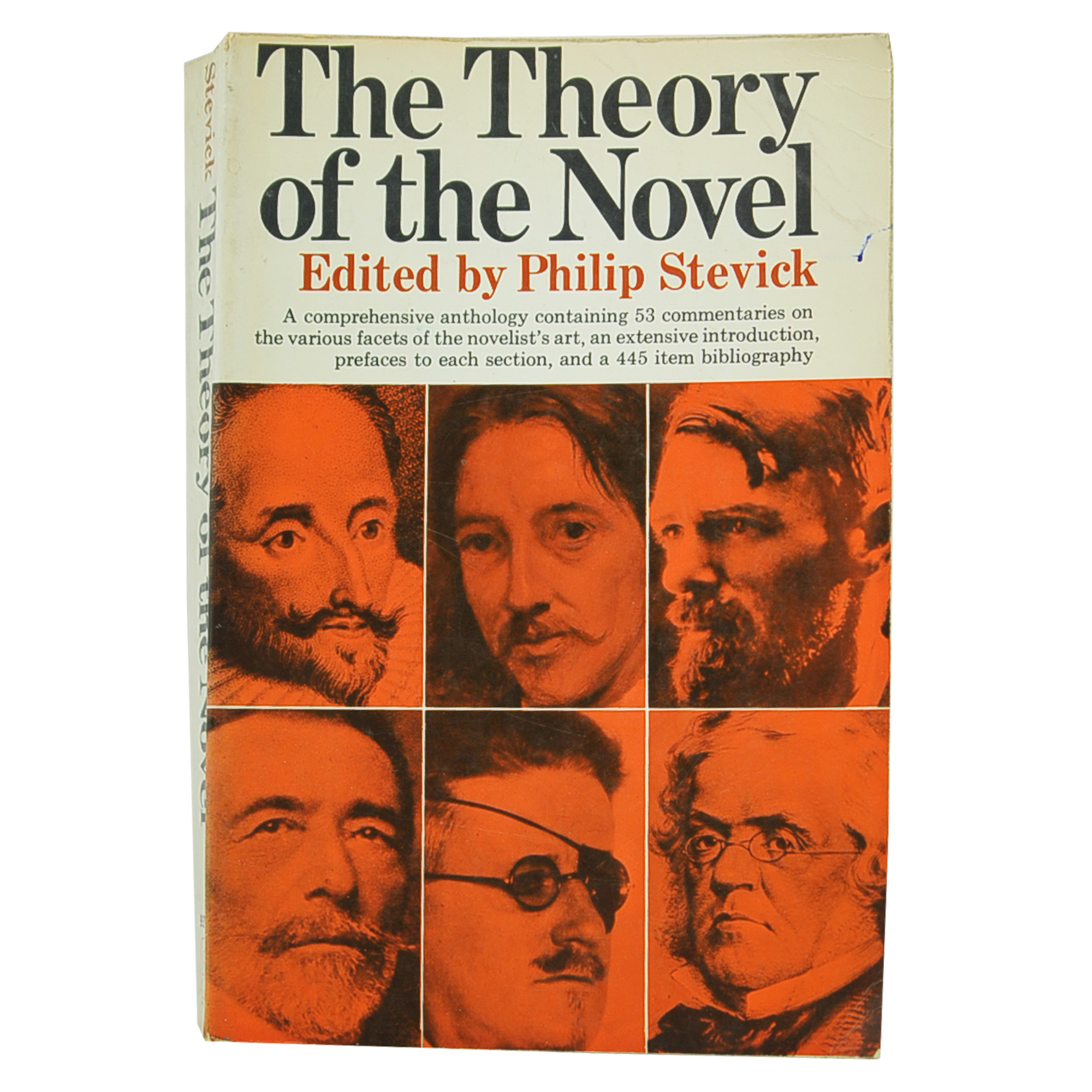 The theory of the Novel