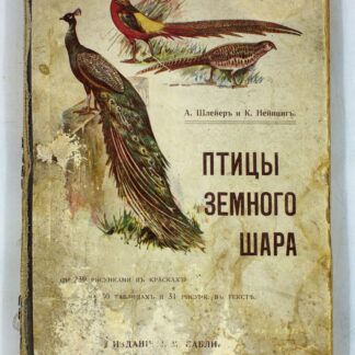 Птицы земного шара