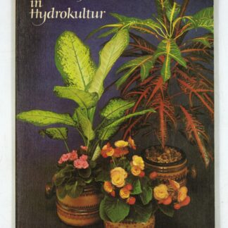 Zimmerpflanzen in Hydrokultur