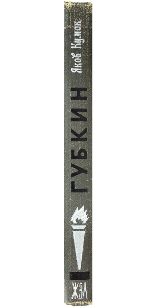 Губкин — изображение 3