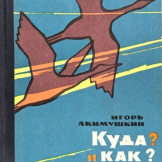 Куда? И как?