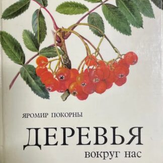 Деревья вокруг нас