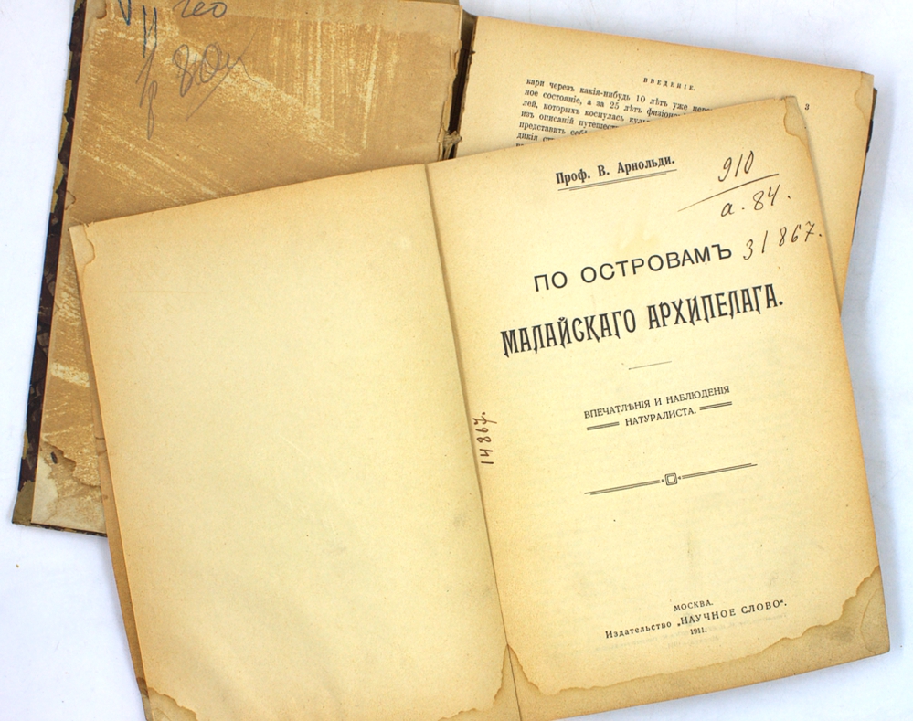 По островам Малайского архипелага: впечатления и наблюдения натуралистов — изображение 2