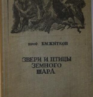 Звери и птицы земного шара