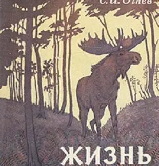 Жизнь леса