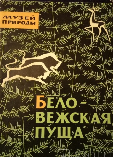 Беловежская пуща. Музей природы