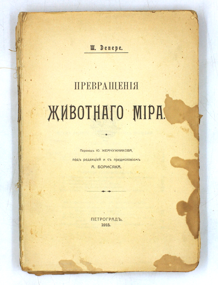 Превращения животного мира