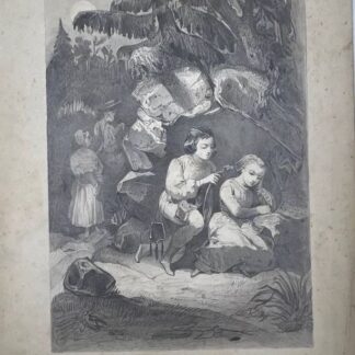 Литография из неустановленой детской книги ("Швейцарский Робинзон"?). Брат, сетра и их родители. Середина 19го века. Не подписана. 30х21 см