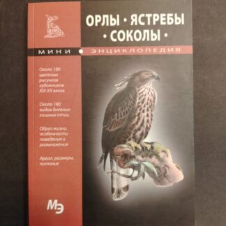 Мини энциклопедия: орлы, ястребы, соколы