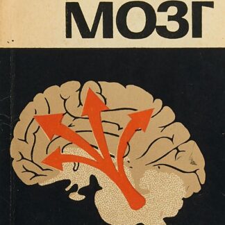 Бодрствующий мозг