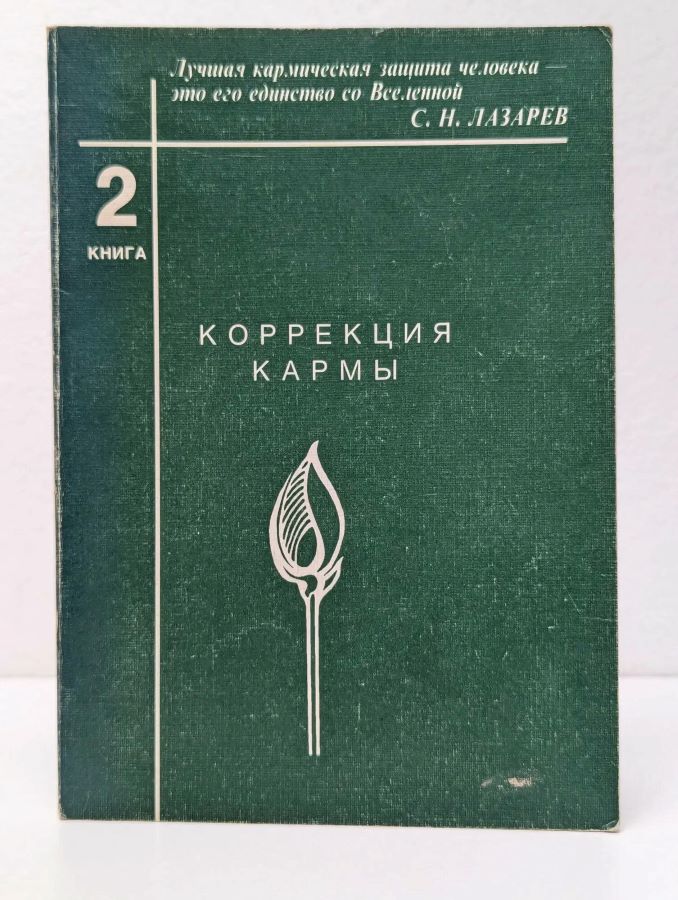 Коррекция кармы, книга 2
