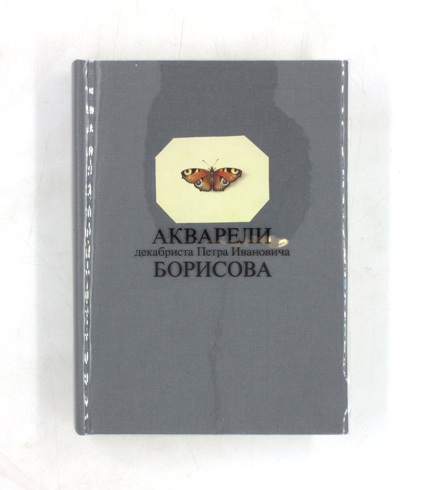 Акварели декабриста Петра Ивановича Борисова