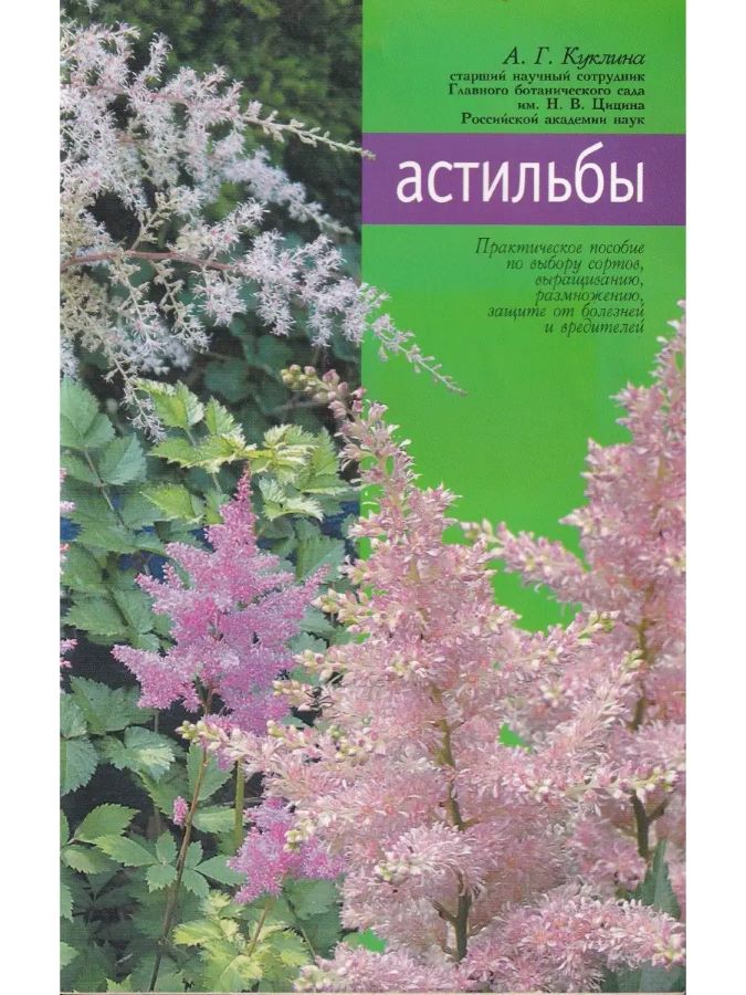 Астильбы
