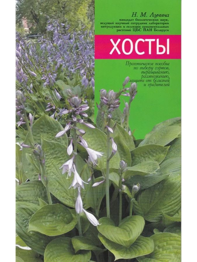 Хосты