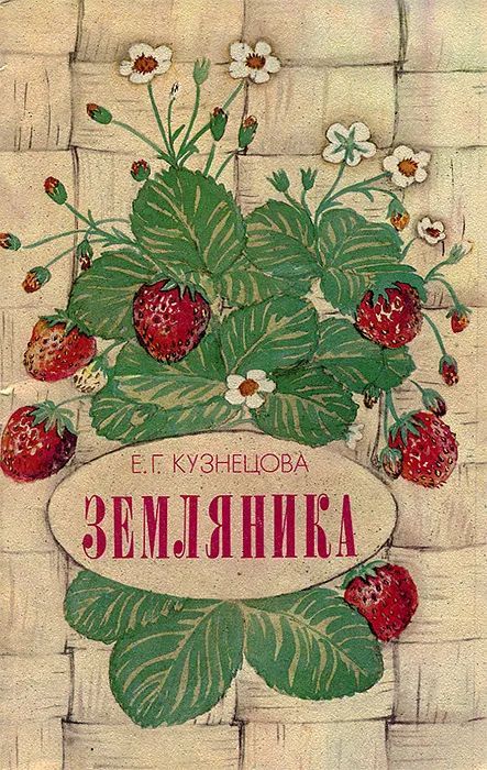 Земляника