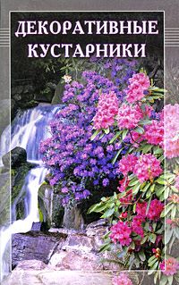 Декоративные кустарники