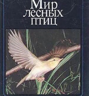 Мир лесных птиц