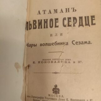 Атаман Львиное сердце или Чары волшебника Сезама