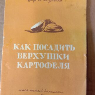 Как посадить верхушки картофеля