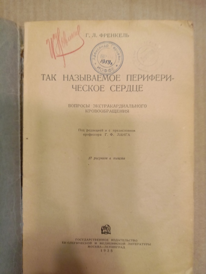 Так называемое периферическое сердце — изображение 2