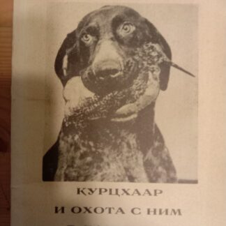 Курцхаар и охота с ним в Дагестане