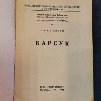 Барсук