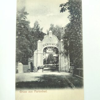 Открытка винтажная "Привет из Мариенбада/Gruss aus Marienbad". 14х9см