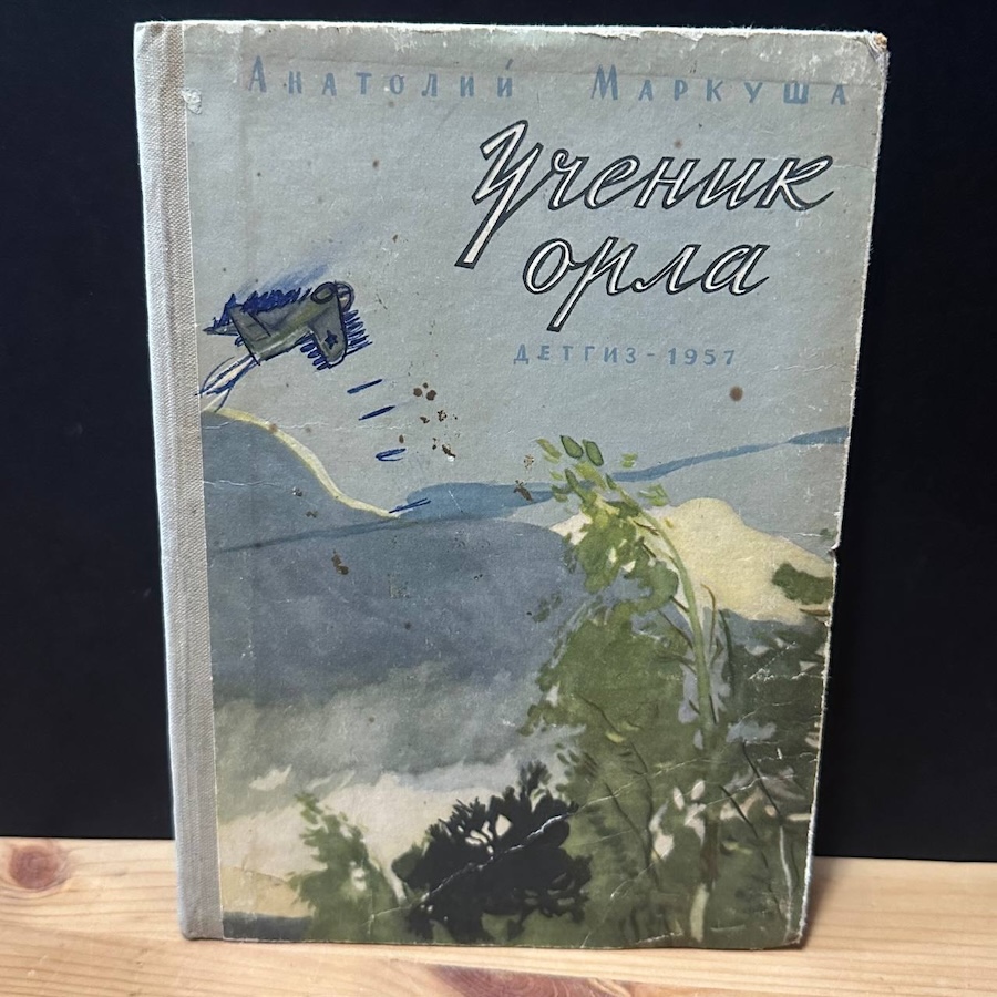 Ученик орла. Рассказы старого летчика